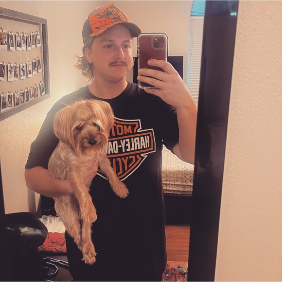 Meet your Posher, Grafton - Picture 1 of 1